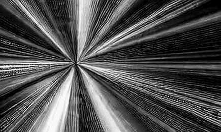The AI Trade Is Dead. Now What? Decoding the Winklevoss Signal